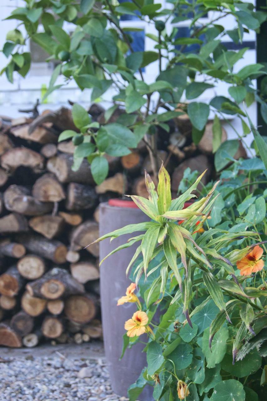 Le Grenier De Louisette Bed and Breakfast Libourne Buitenkant foto